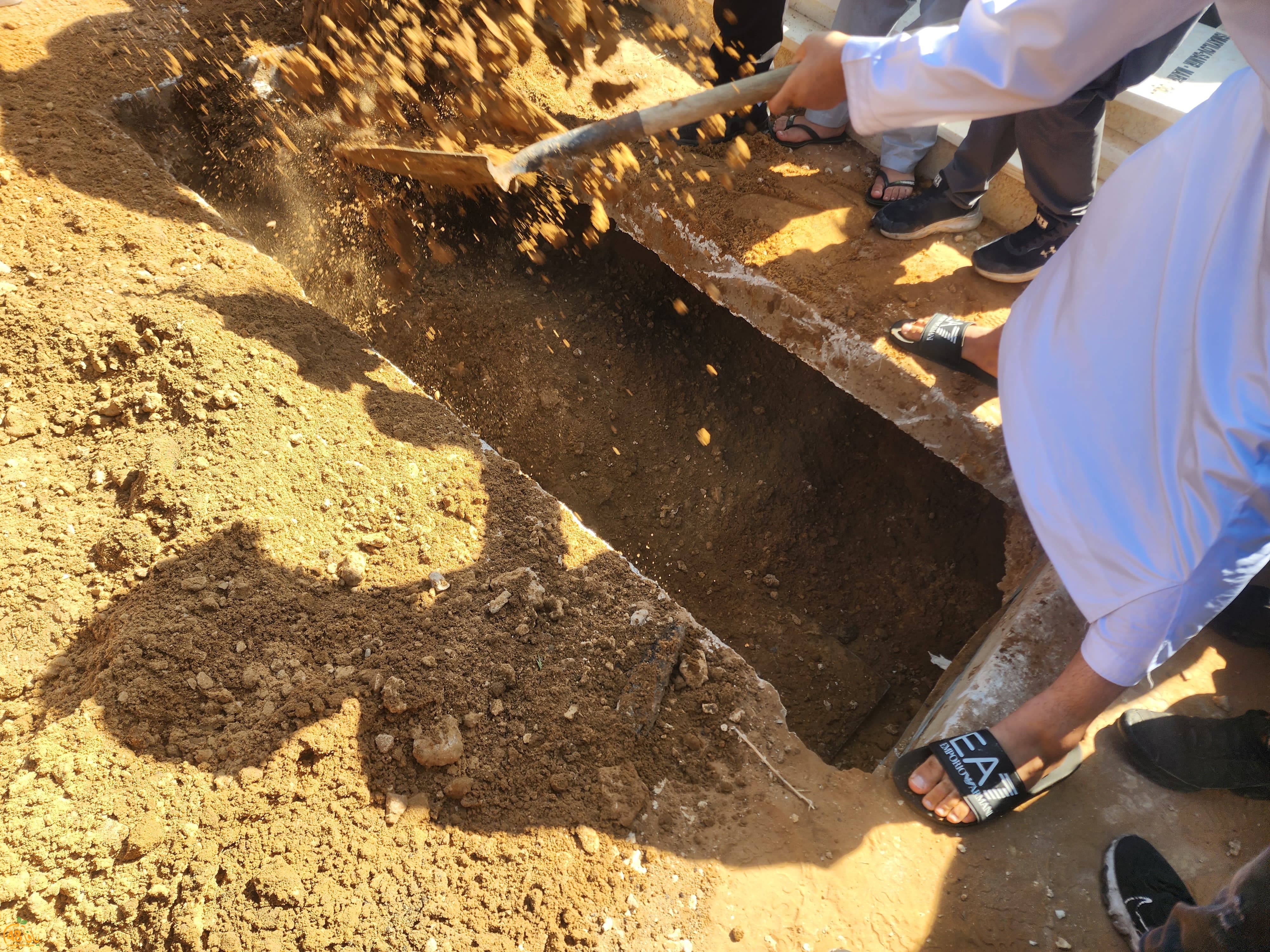 WhatsApp Image 2023-10-12 at 12.32.46 PM.jpeg